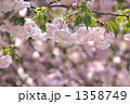 1358749