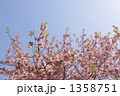 1358751