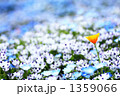 ちょこんと背伸び 1359066