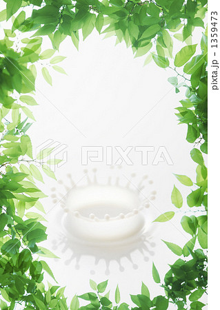 新緑のフレーム 新緑のフレーム 1359473