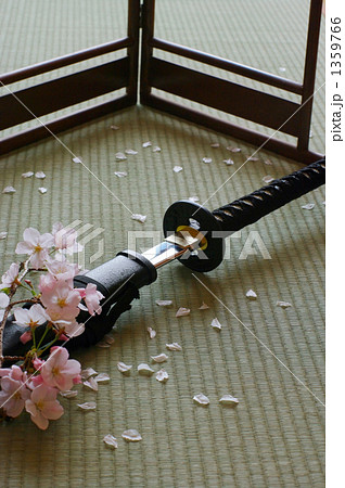 桜と刀の写真素材