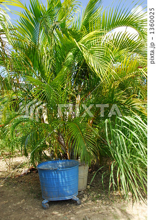 Burikinobaketsu 1360025