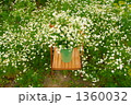 Mankaikamomi-ru 1360032