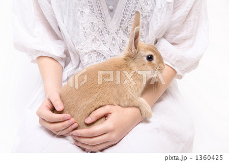 ミニウサギを抱く女性の写真素材