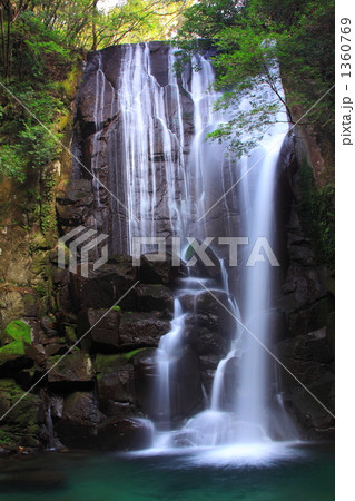 桑の木の滝 1360769