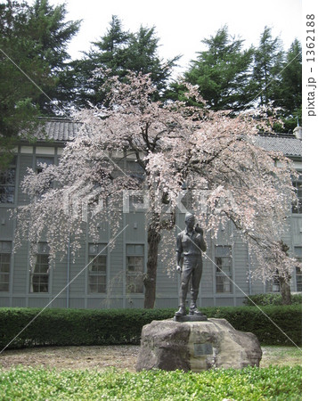 木造校舎中庭 1362188