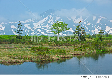 高原の沼 1362203