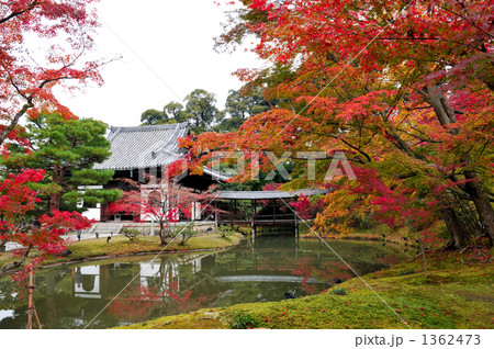 秋の高台寺 1362473