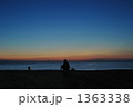 アコークロー 1363338