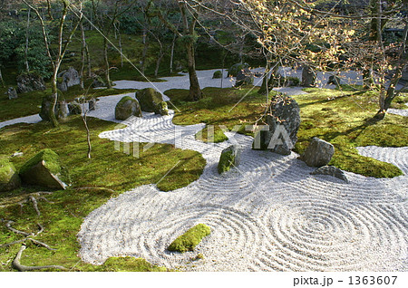 苔むす枯山水の庭の写真素材