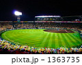 阪神甲子園球場ナイトゲーム 1363735
