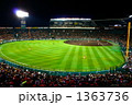 阪神甲子園球場ナイトゲーム 1363736