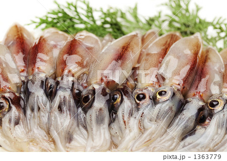 生のホタルイカ 1363779