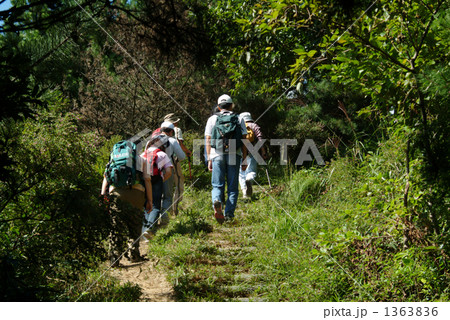 山歩き 1363836