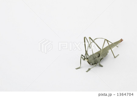 手作りバッタ 1364704