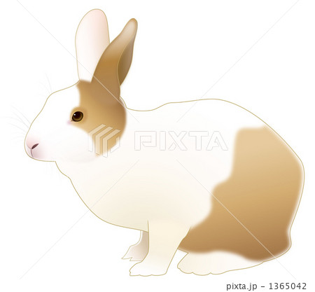 パンダうさぎベージュ 1365042