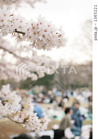 行楽・花見客 1365221