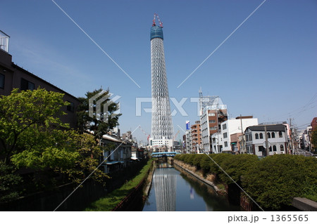 春の青空に聳える建設中の東京スカイツリー（349m） 1365565