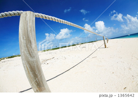 ミコマスケイの立ち入り禁止区域 1365642