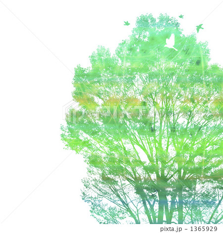 Love The Trees Love The Trees 1365929