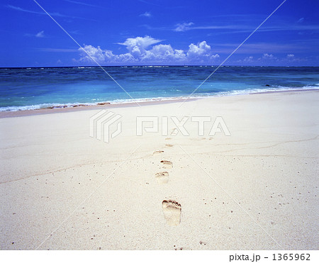 ビーチの足跡 1365962