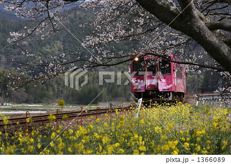 ひだまり号 1366089