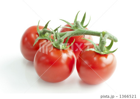 真っ赤なミニトマト 真っ赤なミニトマト 1366521