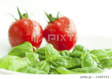ミニトマトとバジル ミニトマトとバジル 1366543