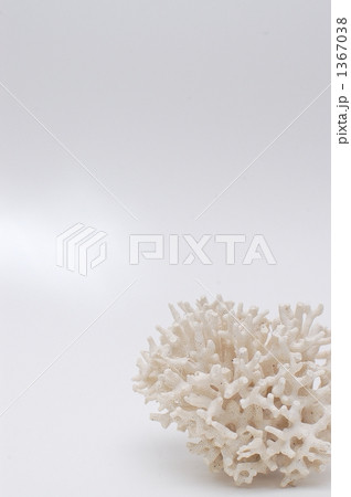 1367038