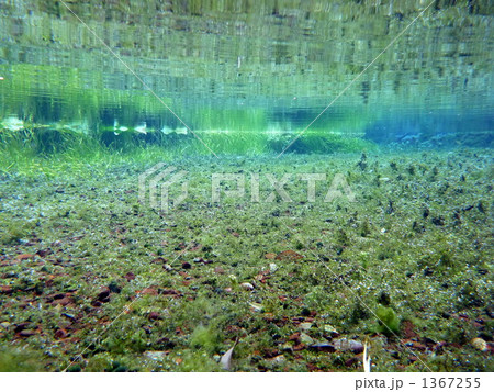 水中の風景 1367255
