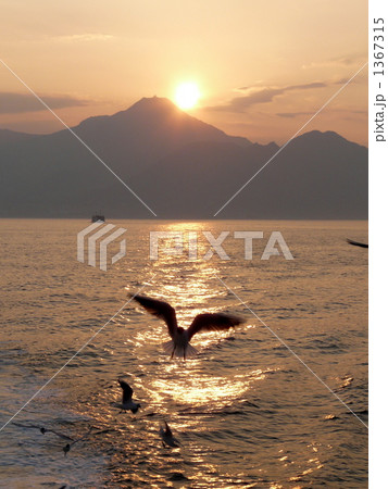 普賢岳と夕日 1367315