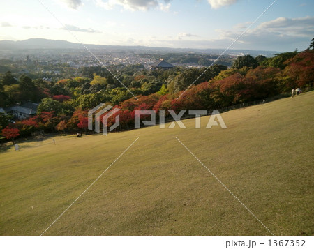 若草山(奈良市) 1367352