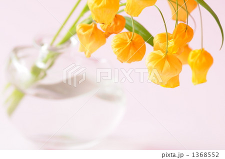 サンダ―ソニア サンダ―ソニア 1368552