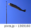 鯉のぼり 1369160