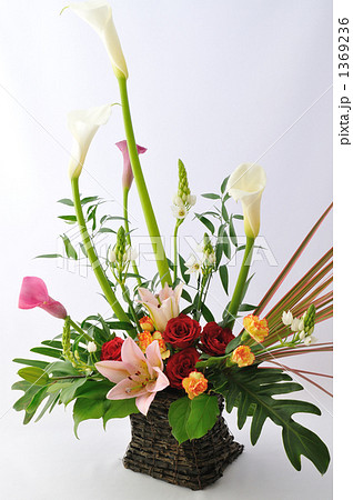 Flower Arregement 1369236