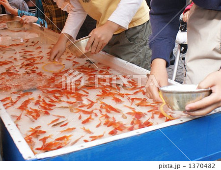 金魚すくい 金魚すくい 1370482