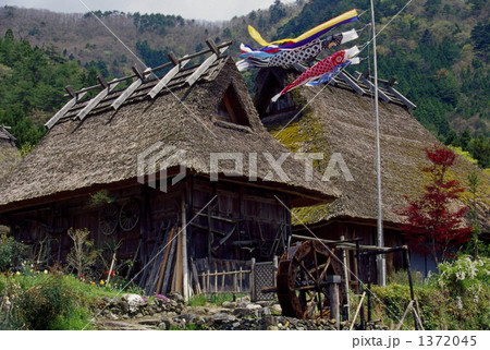 端午の節句 1372045