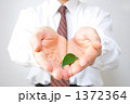 環境問題に取り組むイメージ（両手） 1372364