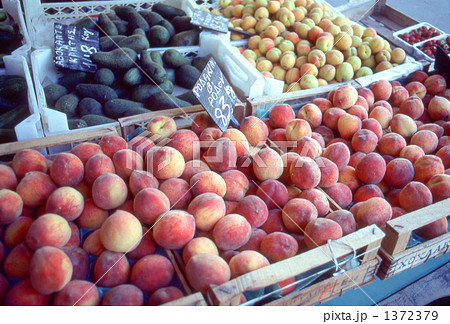 青果店 青果店 1372379