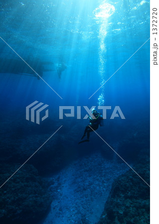 光のシャワーを浴びるダイバー 1372720