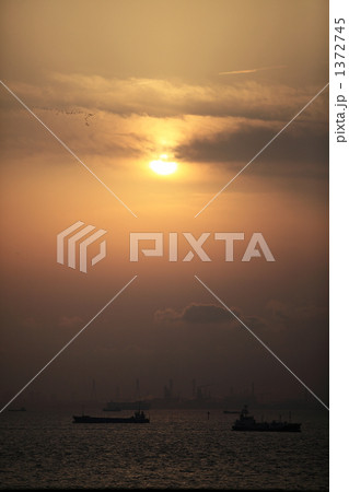 東京湾に沈む夕焼け 東京湾に沈む夕焼け 1372745