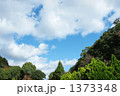 1373348