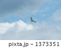 1373351