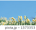 1373353