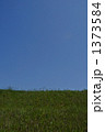 晴れた日の川土手 1373584