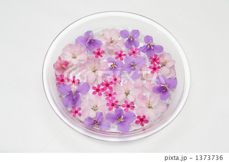 花模様 花模様 1373736