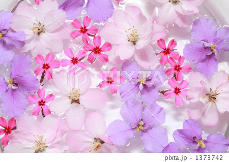 花模様 1373742