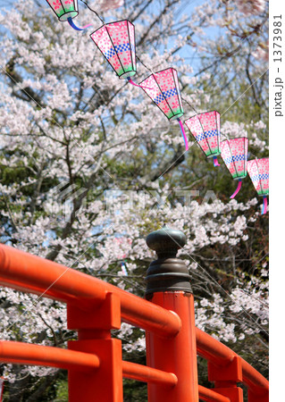 赤橋 赤橋 1373981