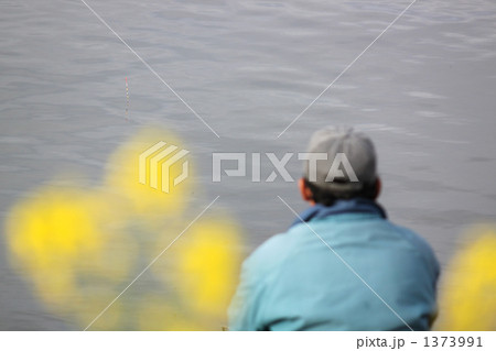 鮒釣り 1373991
