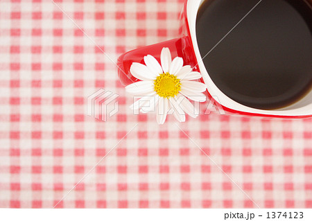 Marguerite-01 1374123